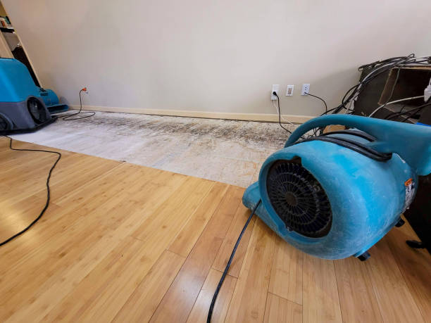Reliable Basement Flood Cleanup contractor in Leavenworth, KS by Hirex Water Damage