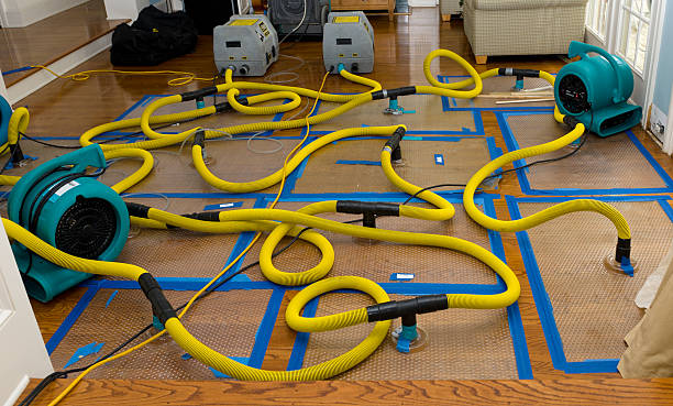 Professional Basement Flood Cleanup technician working in Leavenworth, KS